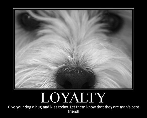 firm and dependable especially in loyalty