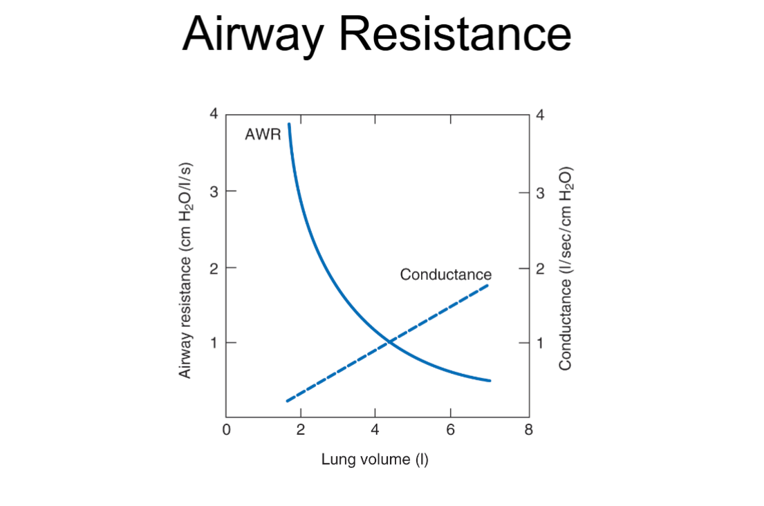 <ul><li><p><strong>At low lung volume (near empty lungs):</strong></p><ul><li><p>Airway resistance is <strong>high</strong> (airways are narrow or may even collapse).</p></li><li><p>Conductance is <strong>low</strong> (harder for air to move).</p></li></ul></li><li><p><strong>At mid lung volume:</strong></p><ul><li><p>Airways start to open wider.</p></li><li><p>Resistance goes <strong>down</strong>.</p></li><li><p>Conductance goes <strong>up</strong>.</p></li></ul></li><li><p><strong>At high lung volume (big inhale):</strong></p><ul><li><p>Airways are pulled open the most.</p></li><li><p>Resistance is at its <strong>lowest</strong>.</p></li><li><p>Conductance is at its <strong>highest</strong>.</p></li></ul></li></ul><p></p><p></p><ul><li><p><strong>Big takeaway:</strong></p><ul><li><p><strong>High lung volume = wide open airways = low resistance, high conductance.</strong></p></li><li><p><strong>Low lung volume = narrow airways = high resistance, low conductance.</strong></p></li></ul></li></ul><p></p>