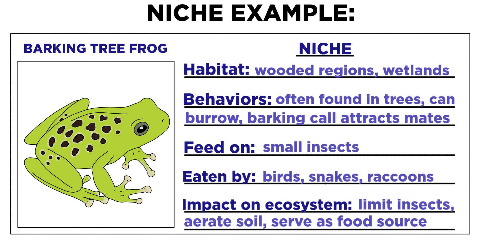 <p>ecological niche</p>