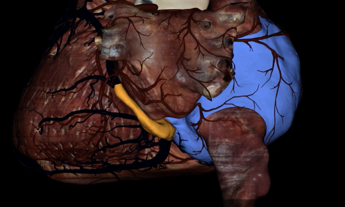 <p>What is highlighted in orange?</p>
