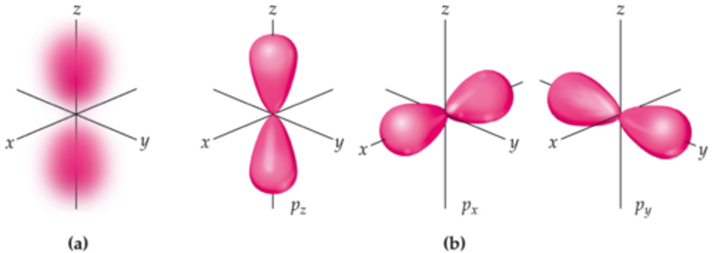 <p>dumbbell-shaped (two dense regions or lobes on either side of the nucleus with a node in the middle)</p><p>each shell with p orbitals has three p orbitals of the same size but different orientation</p>