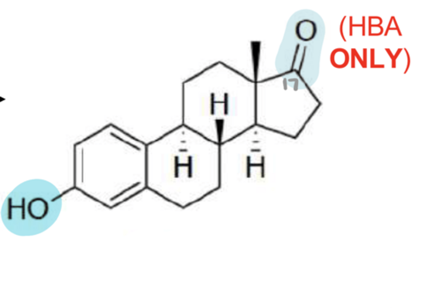 <p>What estrogen agonist has 1 alcohols and a ketone at the 17 position?</p>