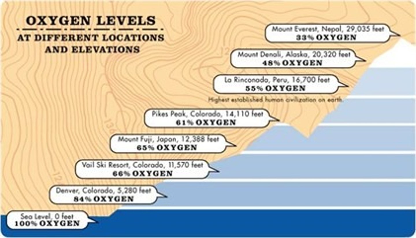 <p>Occurs when body produces more red blood cells to compensate for a lower concentration of oxygen in the atmosphere</p>