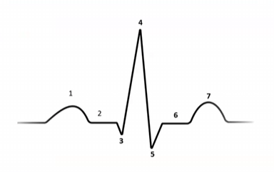 <p>Match the following</p>