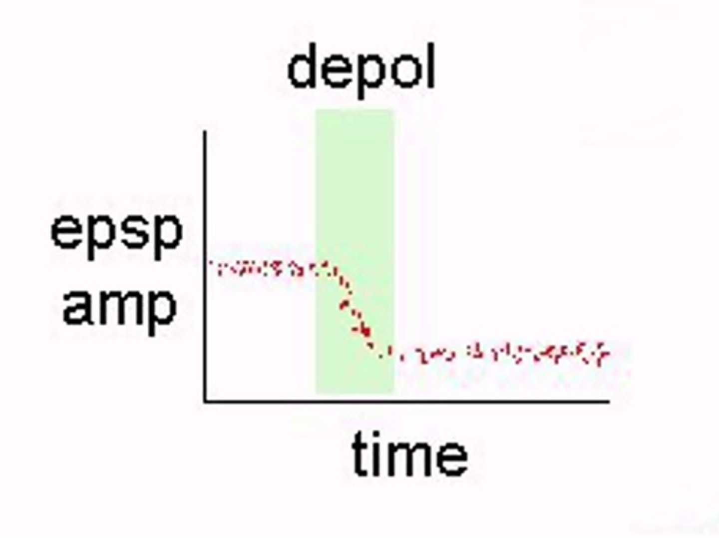 <p>What happens in LTD?</p>