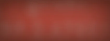 <p>Red license plate</p>