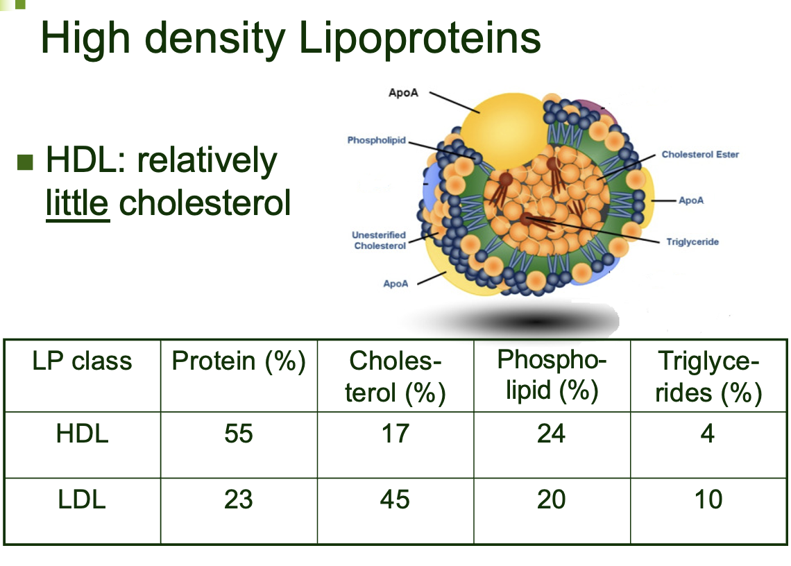 High density lipoproteins