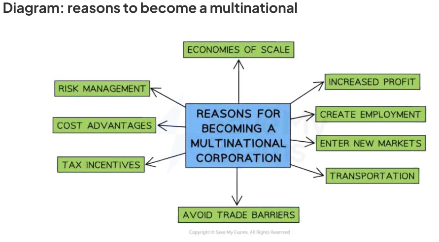 <ul><li><p>As they operate globally, they are able to increase their output & benet from lowered costs created by economies of scale</p></li><li><p></p></li></ul><p></p>