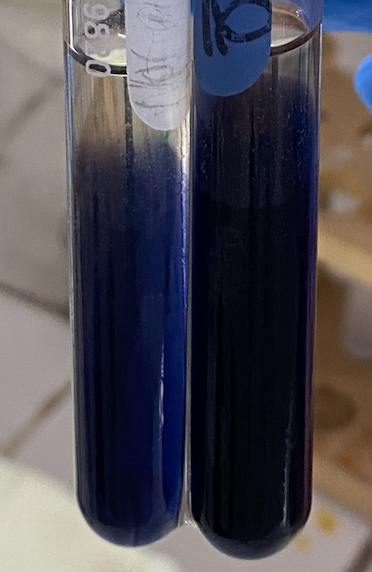 <p>What are the sugars in the test tube (left to right)?</p>