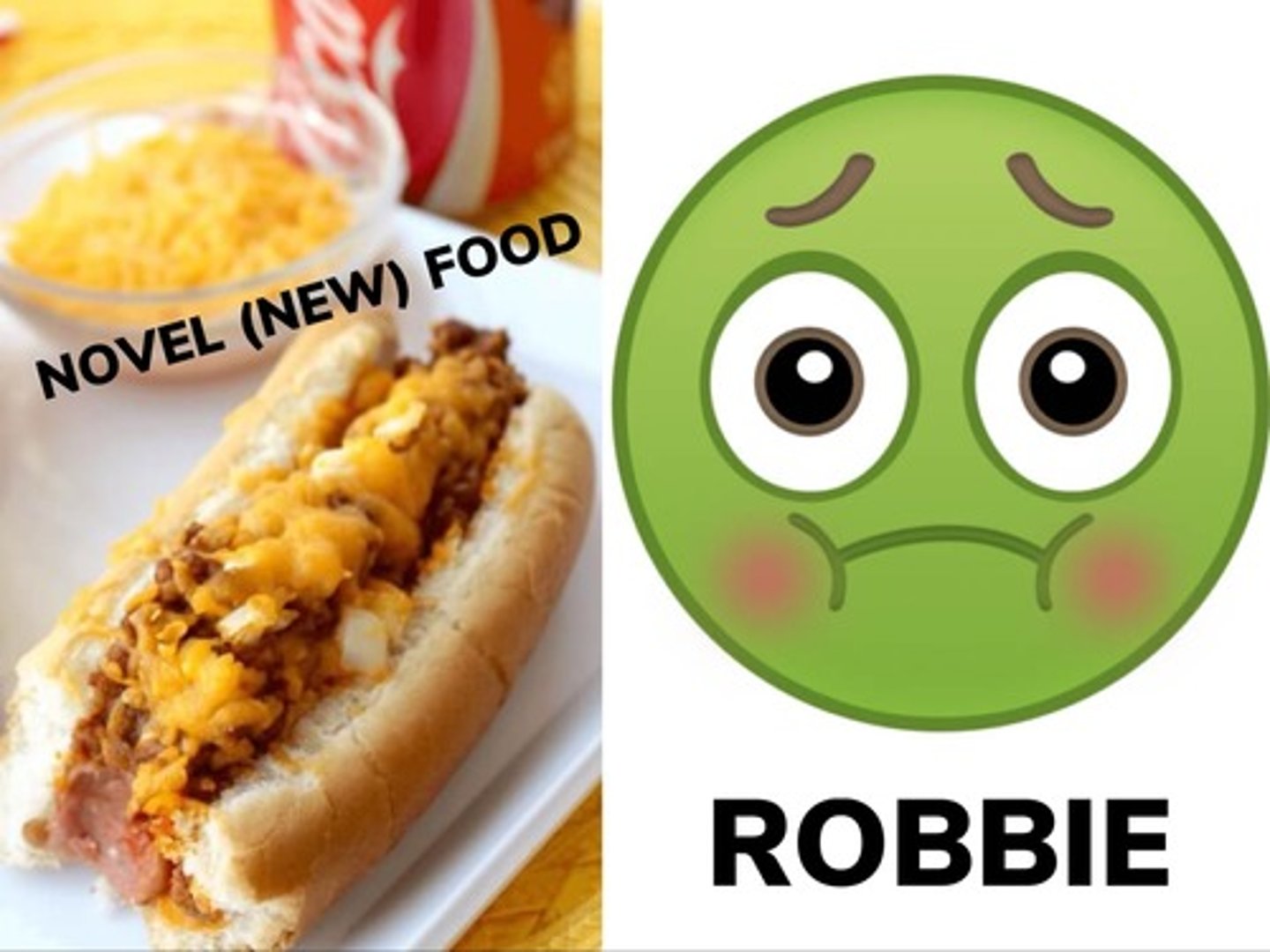 <p>a type of classical conditioning in which a previously desirable or neutral food comes to be perceived as repugnant because it is associated with negative stimulation</p>