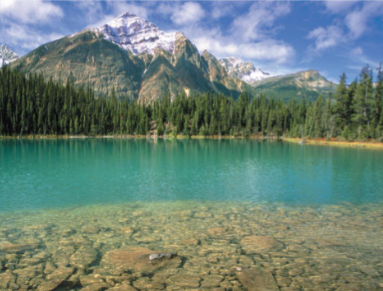 <p>Oligotrophic lakes</p>