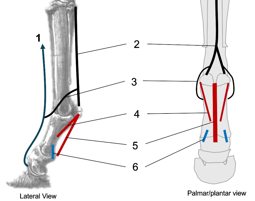 <p>6</p>