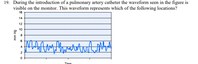 <p>During the introduction of a pulmonary artery catheter the waveform seen in the figure is visible on the monitor. This waveform represents which of the following locations?</p>