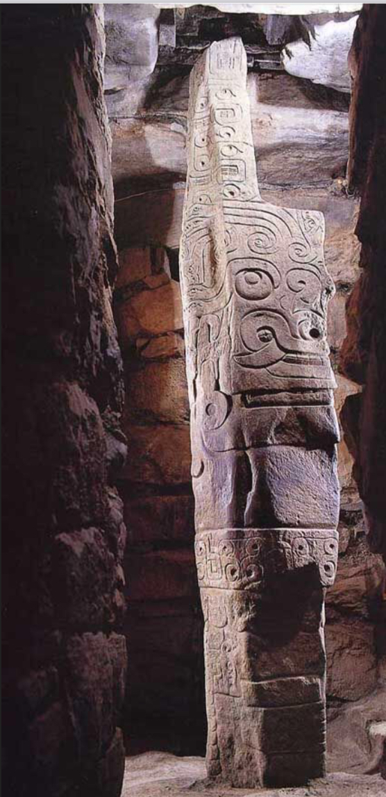 term image