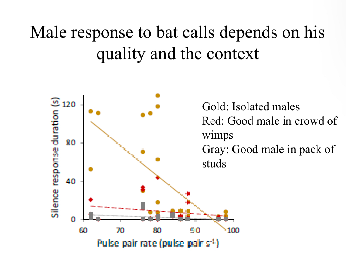 <p>Females prefer males with higher Pulse-</p><p>Pair-Rate (PPR) calls</p><p>• Playbacks of bat calls caused males to pause </p><p>in “singing”. </p><p>• Playbacks of bat calls near preferred males </p><p>erased female preference.</p><p>Males more likely to silence when alone</p><p>Good males in a crowd of wimps are less likely to silence</p><p>Good males in a crowd of studs are EVEN less likely to silence</p><p>Male-male competition</p>