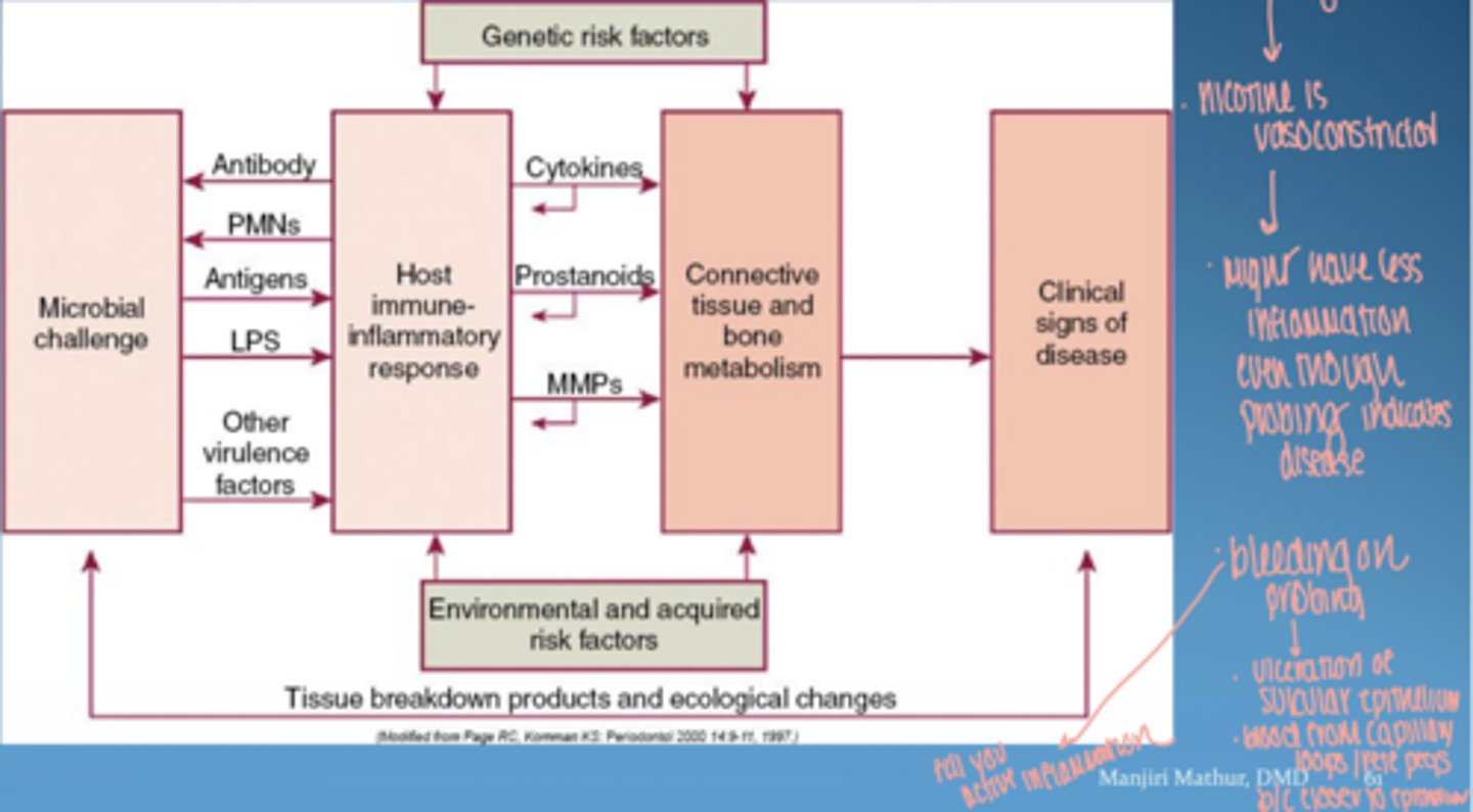 <p>vasoconstriction → ↓ bleeding</p><p>disease may be present but masked</p>