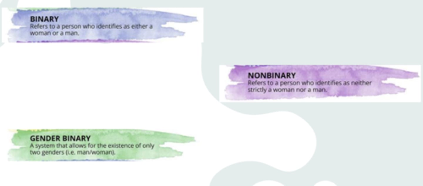 <p>Gender Binary</p>