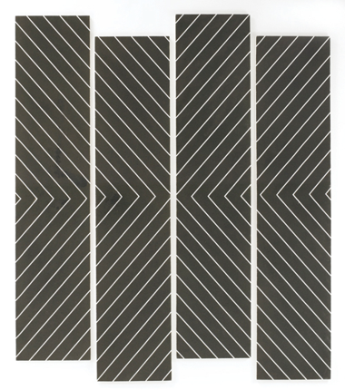<p><em>White Minority</em>, 2005-7.</p>
