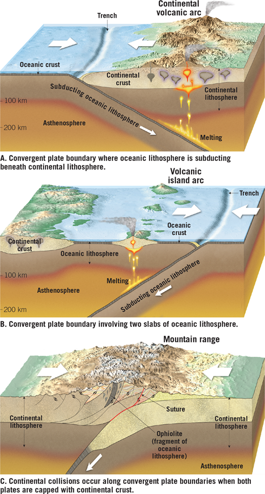 <p>where two plates move toward each other, resulting in oceanic lithosphere descending beneath overriding plate be reabsorbed into mantle OR collision of continental blocks to create mountain belt</p>