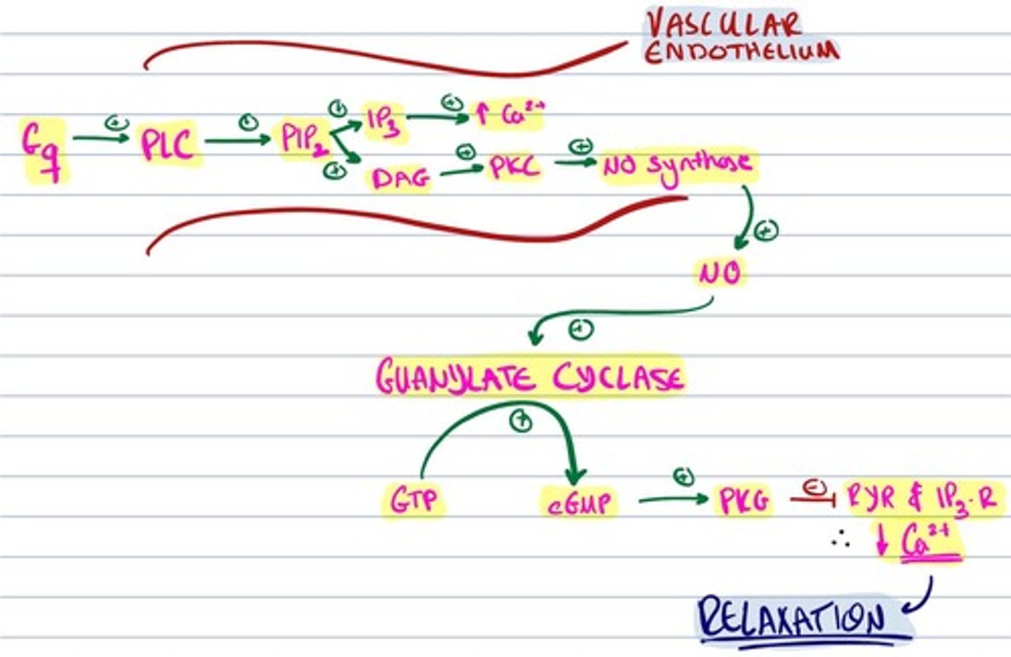 knowt flashcard image