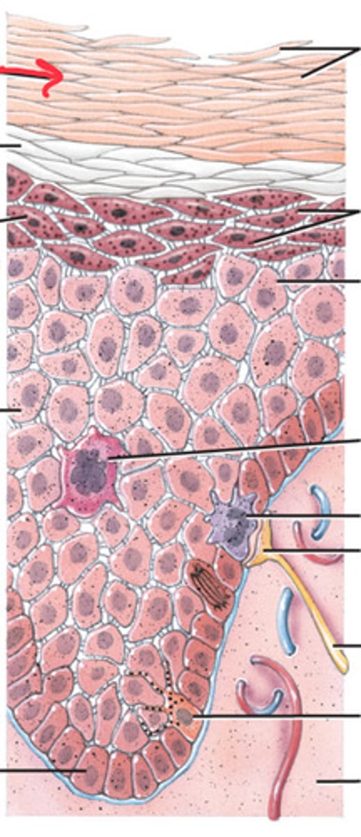 <p>Protection from injuries, heat, water, and chemicals</p>