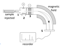 <p>Identify stages <strong>2</strong> &amp; <strong>4</strong> of this mass spectrometer</p>