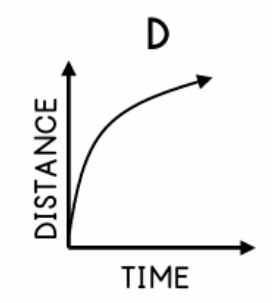 <p>Describe this graph</p>