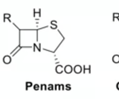 <p>in which of these β-lactam scaffolds is the height of the pyramid the largest?&nbsp;</p>
