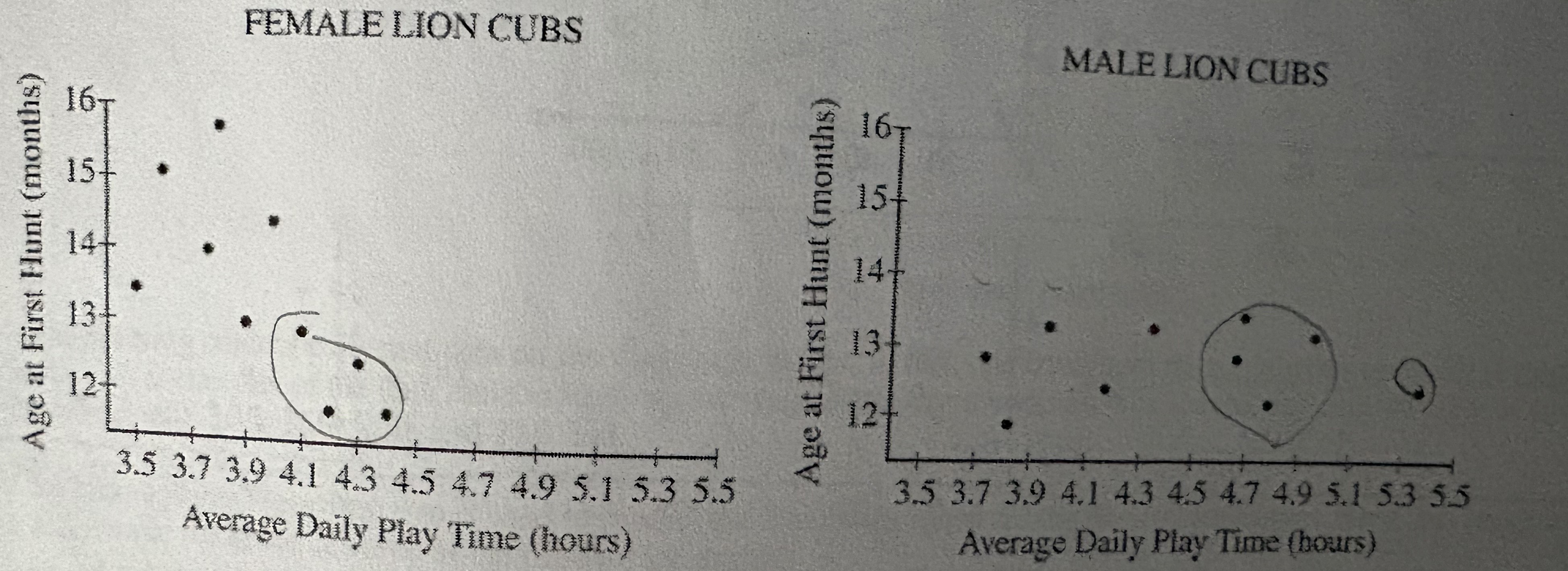 <p>A field researcher who studies lions conjectured that the more time a cub spends playing, the sooner the cub will begin to hunt. Observational data were collection from 20 lion cubs. The researcher recorded how long they spent playing and the age when they began hunting. Because male and female lions have different hunting behaviors, the researcher recorded the data for males and females separably. The two scatter plots show the data from the 10 female lions and the 10 male lions.<br><br>Based on the scatter plots, for which gender does there appear to be evidence theat the more time a lion cub spends playing, the sooner the cub is likely to begin hunting?</p>
