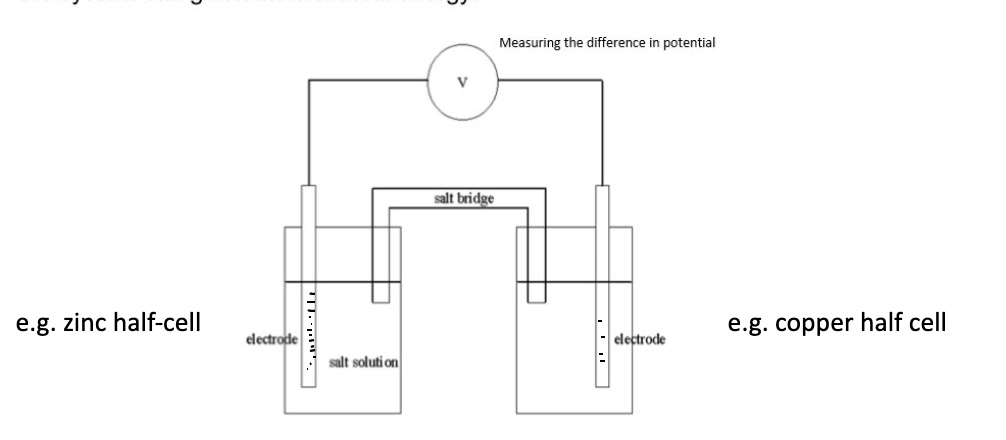 <p>draw a representation of a cell + outline how one is created</p>