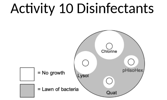 <p>which disinfectant is least effective against this organism </p>