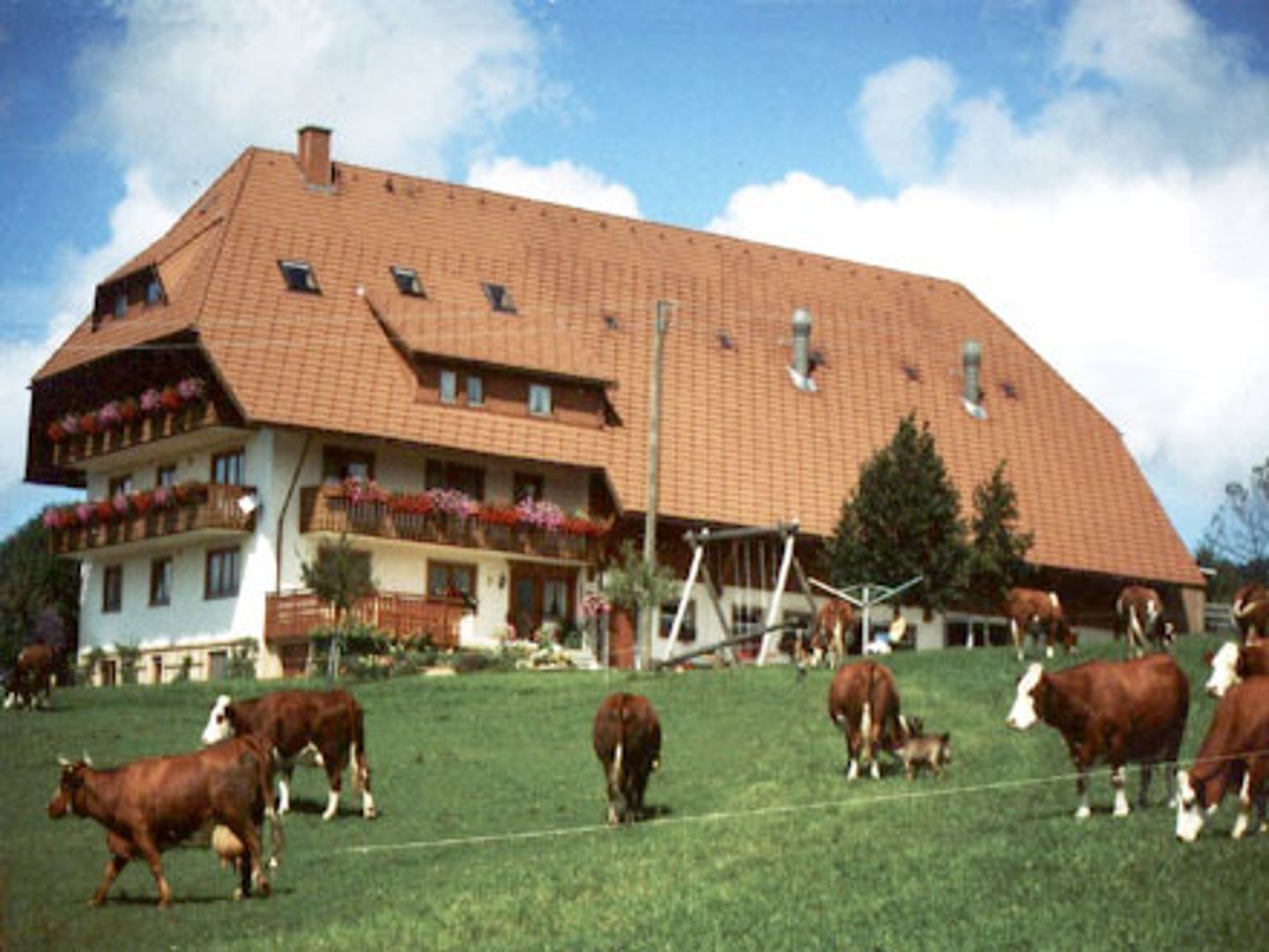 <p>farm</p>