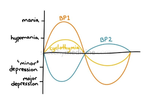 <p>BP 1 = episodes of depression, hypomania, and mania</p><p>BP 2 = episodes of depression and hypomania (less severe than mania)</p>