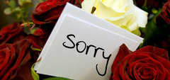 adj. Something that soothes or makes the situation better.