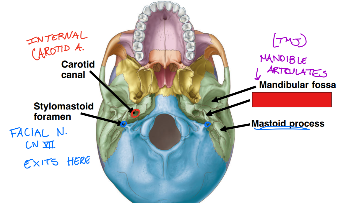 <p>Fill in the red box:</p>