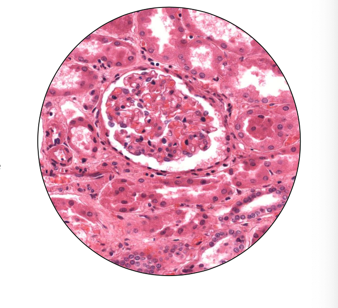 <p>What is this?</p>