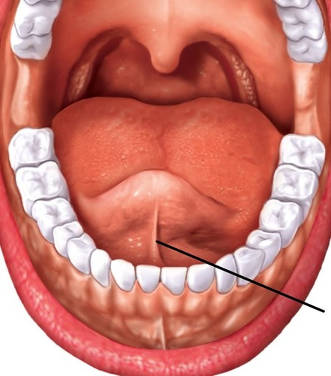 <p>ID the Structure</p>