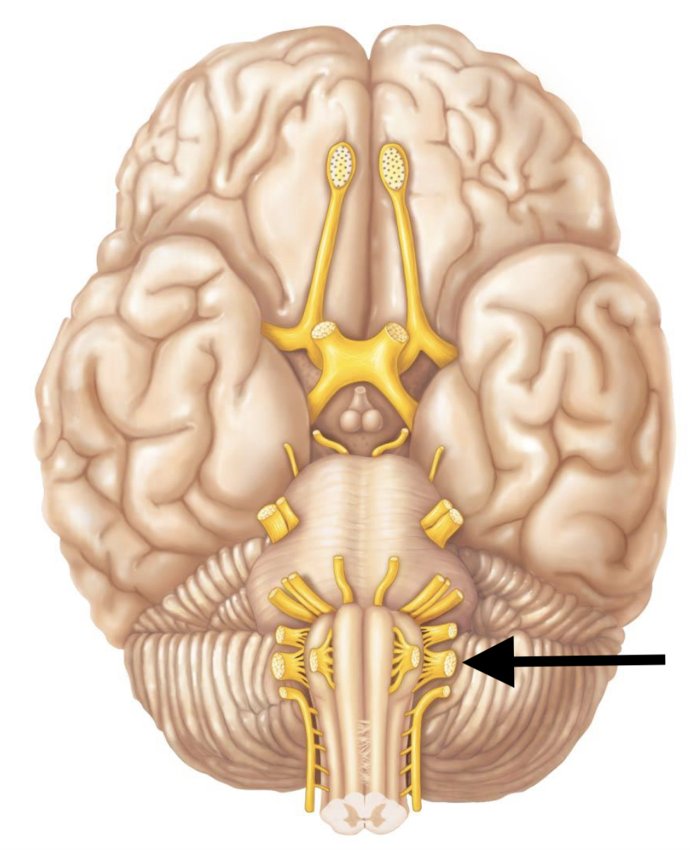 <p></p>