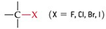 <p>A carbon bonded to a halogen (F, Cl, Br, or I).</p>