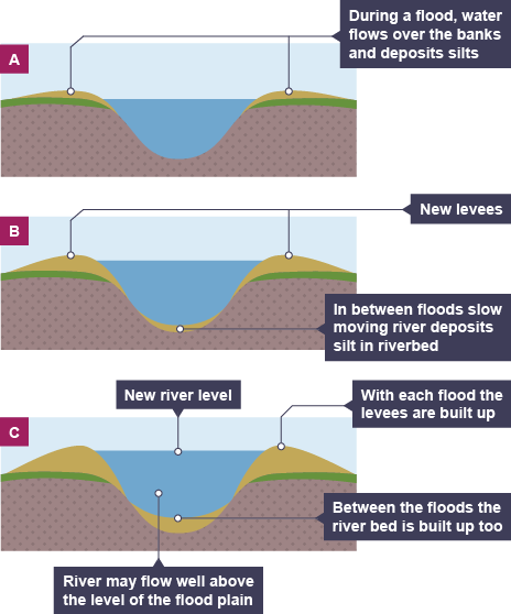 <p>when the river floods, it spreads water and alluvium across the flood plain. a layer of alluvium builds up on the flood plain, deepening it. the levee now raises the height of the river bank. the river returns to its normal level.</p>