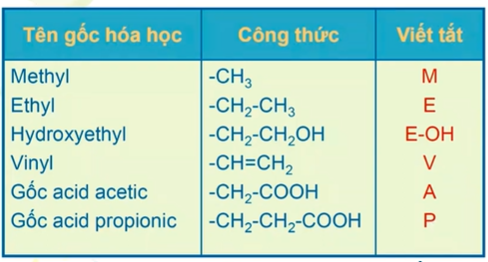 <p>Porphin gắn với các nhóm thế(gốc hóa học)</p>