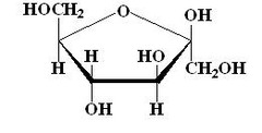 <p>Fructose is a monosaccharide that is a common sugar in fruits. It is a six-carbon sugar with the chemical formula C-6, H-12, O-6.</p>