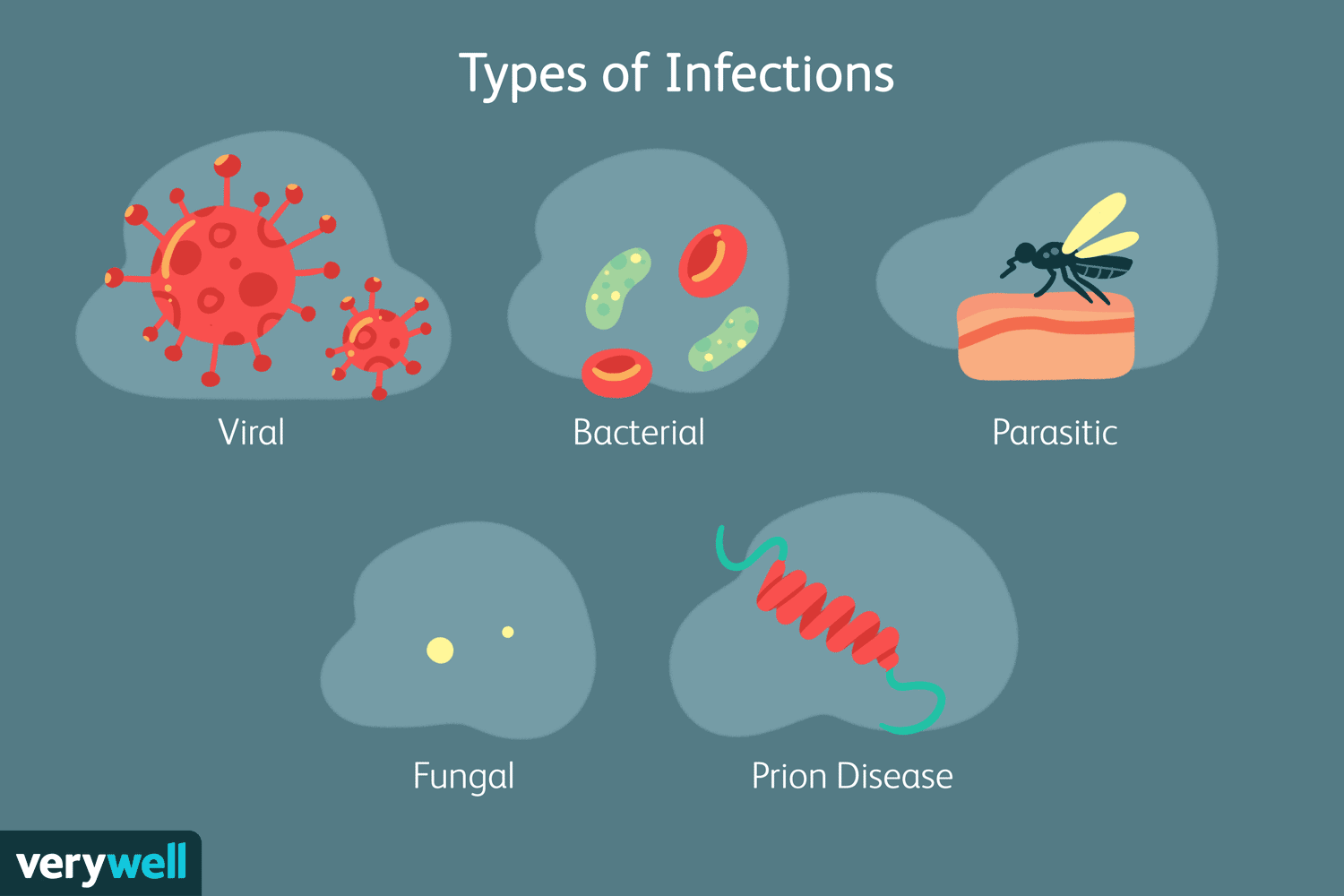 <p><span style="color: red"><strong>Pathological states are caused by harmful microorganisms that invade the body and can trigger immune responses. </strong></span></p>