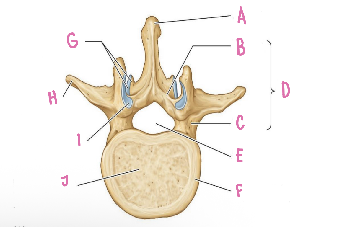 <p>what is H?</p><p></p>