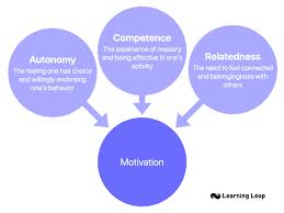 <p>A theory of motivation that emphasizes the importance of intrinsic motivation and the role of autonomy, competence, and relatedness in driving human behavior. </p>