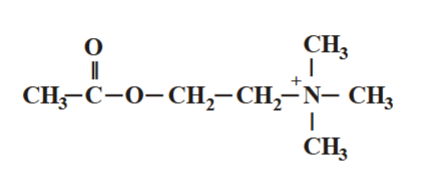<p>what is that</p>