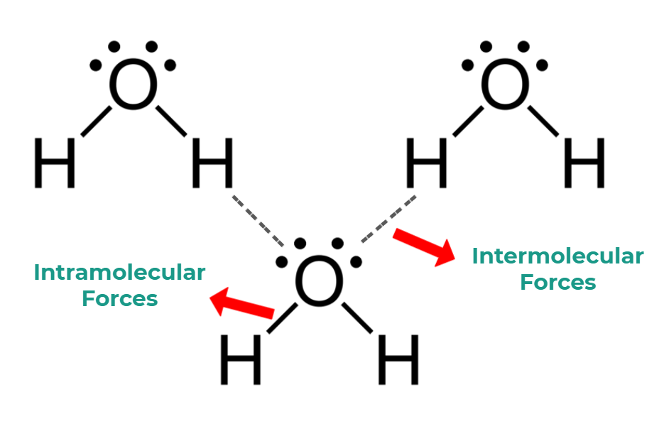 <p>Intermolecular Forces/van der Waals forces</p>