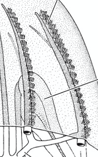 <p>what is depicted here </p>