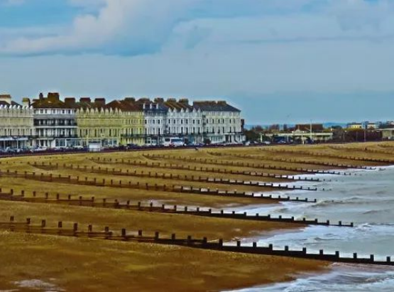 <p><mark data-color="green">Timber </mark>or r<mark data-color="green">ock protrusions </mark>that<mark data-color="green"> trap sediment </mark>from <mark data-color="green">LSD.</mark></p>