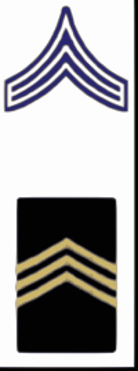 <p>3 Chevrons</p>